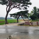 월송농장 Daum카페