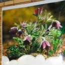 우송농장 이미지