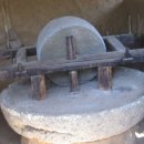 진 약국 이미지