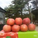 (부사즙)대구 팔공산 사과로 착즙한 100%생사과즙 판매합니다^^ 이미지
