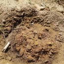 가나안농장2 이미지