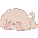 쉬었다가개 이미지