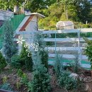 내고1농로 이미지