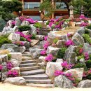 가평소나무팬션 이미지