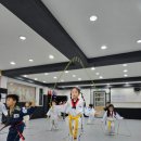선 태권도장 이미지