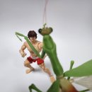 한마