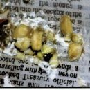 군포굿닥터동물병원 이미지