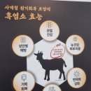 삼대가염소탕 이미지