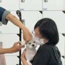 명애견센터 이미지