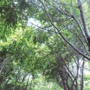 시도민션민박 이미지