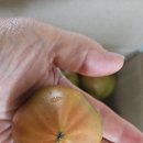 경민농장 이미지