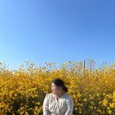 에크루(ECRU) | 여자 생일선물 추천 , 폴뉴아 미니 버로우백 에크루(Mini Borough Bag Ecru) 후기