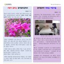 광지원초등학교 이미지