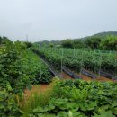 마도면사무소 이미지