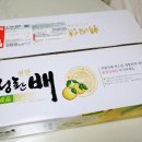 배가농원 이미지