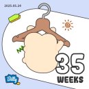 숙지중학교 | 임신 후기 35-36주차 기록(feat. 태동검사&amp;막달검사, 보건소 임산부 태교교실 손싸개 만들기, 아기용품...