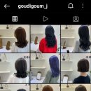 고우디고움
