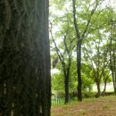 (주)태호 이미지