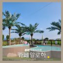 육림풀장 | 춘천 브런치 카페 알로하 막바지 물놀이 가능한 서면 카페