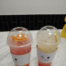 카페051트리비앙점