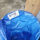 진달래펜션 이미지