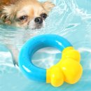 윤스강아지 이미지