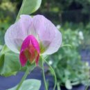 서원노인복지센터 이미지