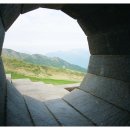 성원 직업소개소 네이버블로그