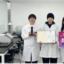 캡스톤 메디컬 이미지