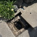 하귀리경로당 이미지