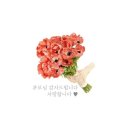 은혜환경주 이미지
