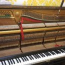 우리들의 음악학원 이미지