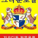지오디독 네이버블로그