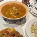 유로아티 | 피렌체 맛집 두오모 근처 중식당 짬뽕 볶음밥 가성비 중국집 Le Sorgenti