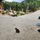 대호농장 이미지