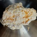 후라이드 참 잘하는집 홍성점 이미지