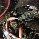 만통(주) 이미지