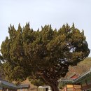 쌍바위소 앞 이미지