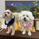 도담 | 소노캄 고양 :: 패밀리 Pet Friendly 스탠다드 더블
