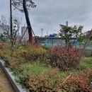 오렌즈 하남미사역점 이미지