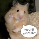 헤인헤어 | 시험기간 블로그 ? 개그콘서트 그 자체
