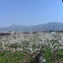 엑스포펜션민박 이미지