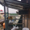 현이농장 이미지