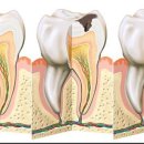 연수치과의원 이미지