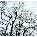 삼성사슴농장 이미지