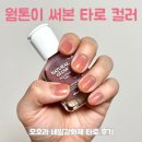 웜톤이 써본 타로 컬러🩷 | 오호라 네일강화제 타로 한 달 후기