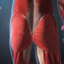 여성전용 24시 미사PT 필라테스 디펜스짐 이미지