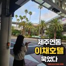 펄호텔제주 | 제주도 여행, 제주 연동 이채호텔 내돈내산 숙박 후기