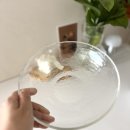 19 | 이케아 스트란드크라바 19cm 후기 매일 쓰게 되는 활용도 최고 접시