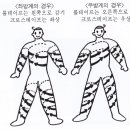 방계 이미지